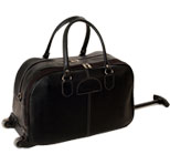 Executive & Travel bags